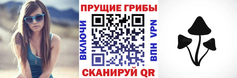 Купить где  Адыгейск  Галлюциногенные грибы Magic Shrooms 